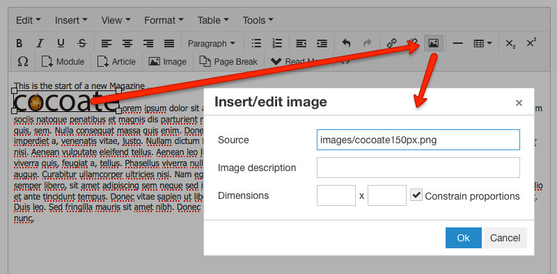 Figure 2: Using the rich text editor